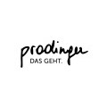 Logo Prodinger & Partner Wirtschaftstreuhand & Steuerberatungs GmbH & CoKG