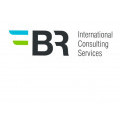 Logo BR International Consulting Services GmbH