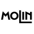 Logo Molin-Industrie-Inbetriebnahme-Montage-Gesellschaft m.b.H. & Co. KG.