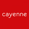 cayenne marketingagentur gmbh