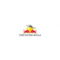 The Flying Bulls GmbH