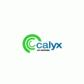 Logo CALYX EDV EU