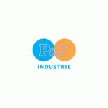 P&P Industrietechnik GmbH