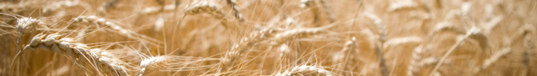 Raiffeisen Lagerhaus Hollabrunn-Horn