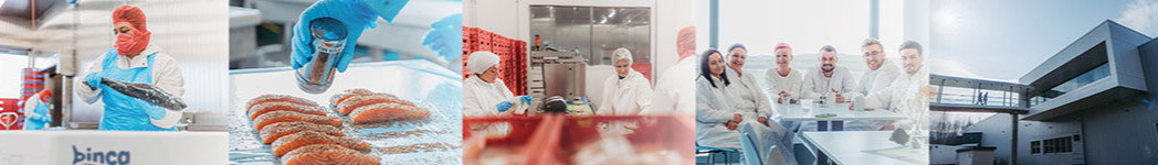 Wir helfen dir, den passenden Job zu finden