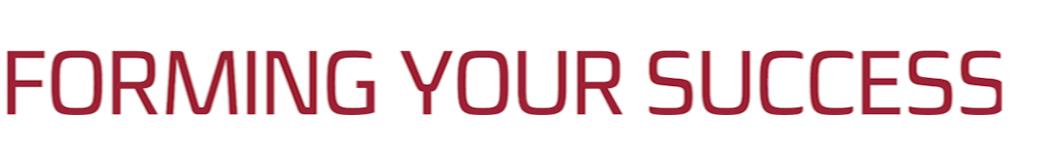 MWS Niederdruckguss GmbH