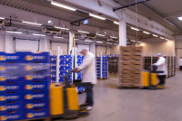 Die Job Experten hinter jobs.at